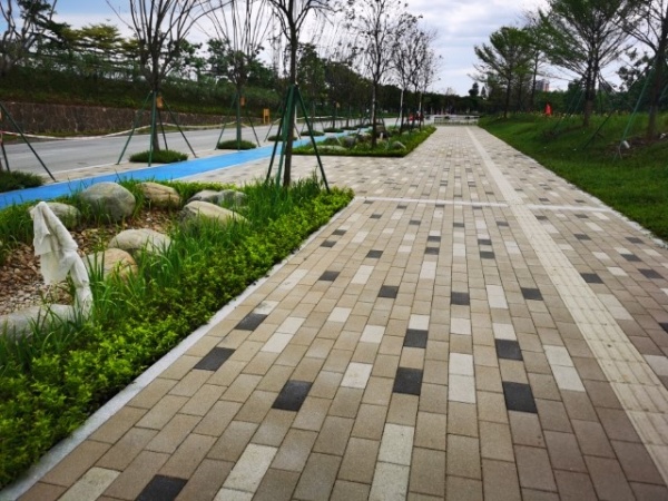 陶瓷透水转铺装效果图