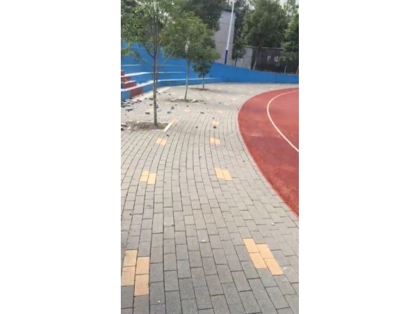 江西绿岛科技视频案例