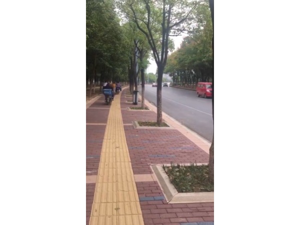 江西绿岛科技视频案例