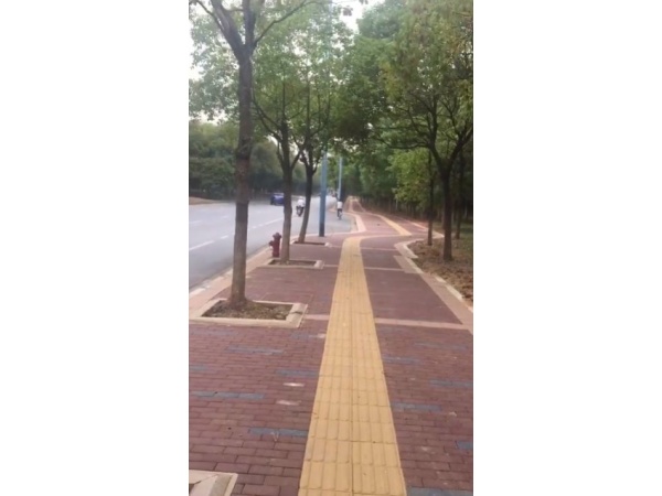 江西绿岛科技视频案例